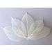 100 Pcs Small Skeleton Leaves - Natural Dried Rubber Tree Leaves for Craft, Scrapbook, DIY Wedding Card - Mini Skeleton Leaves - Buy Online on GoSupps.com