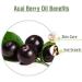 Acai Berry (Euterpe Oleracea) Cold Pressed Carrier Oil | 100% Natural & Pure Undiluted | Ideal for Aromatherapy Skin Care Therapeutic Grade - 15ML with Dropper (1 Bottle) Acai Berry 15 ml (Pack of 1) - Buy Online on GoSupps.com