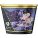 Shunga Caress By Candlelight Massage Candle - Exotic Fruits for Intimate Moments | International Shipping Available - Buy Online on GoSupps.com