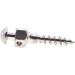 Angzhili Dental Orthodontic Screws Titanium Alloys Matching Micro Implant Screw Device Self-Drilling Thread Mini Screw Self-Taping 6/8/10/12mm (Mini Screw 1.4x6) - Buy Online on GoSupps.com