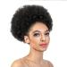 10 Inch Afro Puff Human Hair Bun Drawstring Ponytail Human Hairpiece Kinky Curly Clip In Extensions Ponytail 10inches