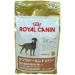 Royal Canin Labrador Adult Sterilised Pack of 1 (1 x 3 kg) - Buy Online on GoSupps.com