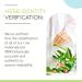 Buy Lobelia B120 Alcohol-Free Herbal Extract Tincture - Natural Concentrated Drops (4 fl oz) | International Shipping Available - Buy Online on GoSupps.com