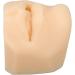 Jauarta Human Mouth Model - Soft Silicone Lifelike Lips for Jewelry Display | High Simulation - Buy Online on GoSupps.com