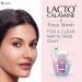 La.cto_Cala.mine Face Wash for Oily Skin - Pack of 2 (100ml) | Kaolin Clay Niacinamide & Vitamin E | Controls Excess Oil Pimples Blackheads & Whiteheads - Buy Online on GoSupps.com