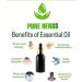 Buy Pure Herbs Essential Oils Vanilla (10 ml) - Natural Aromatherapy & Premium Quality - Buy Online on GoSupps.com