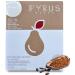 Healthy Chocolate Alternative Pyrus Only Fruit with Cacao No Added Sugar No Sweetener Dairy Free Vegan Natural - Buy Online on GoSupps.com