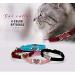 AIXI Cat Collar with Safety Belt and Bell - Heart Bling Design - 8-11 Inches - Black - Buy Online on GoSupps.com
