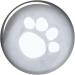 Trixie Tarbes Transparent Black Raincoat for Dogs - 46 cm - 5 ml Pack | International Shipping Available - Buy Online on GoSupps.com