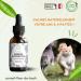 Conseil fleur de Bach - Fleurs de Bach Animaux hyperactifs - Ce m lange va permettre votre animal de s'apaiser de l'aider se canaliser se mod rer s'auto discipliner et de retrouver du calme 10 ml (Lot de 1) - Buy Online on GoSupps.com