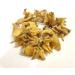 DX Salam Panja Powder/Salab Punja Powder/Salam Panja Churna/Marsh Orchid (25 g) - Buy Online on GoSupps.com