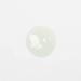 Sea Kale + Hyaluronic Acid Face Serum - 2 Fl Oz | Skin Calming & Rejuvenating - Buy Online on GoSupps.com