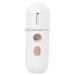 FRCOLOR Vaporisateur Nanom trique Visage Portable Brumisateur Hydratant Compact pour Bureau Voyage Peau clatante Blanc