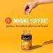 Airborne 200mg Vitamin C + Zinc Gummies for Adults - Immune Support Supplement (42 Gummies) - Honey Lemon Flavor - Antioxidant Vitamins A, C & E - Buy Online on GoSupps.com
