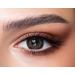 Bella 1-day Colored contact lenses Ash Brown (diopttria -0.00)-10x-covering daily lenses natural color lenses in anthracite brown perfect for dark eyes without strength