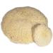 Lat 26 White Compounding Pads - Double Sided 9 - Buy Online on GoSupps.com