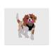 LC00022404 Microfiber Lens Cleaning Cloths with Bones 2 Pack