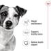 Royal Canin Mini Adult | 12 x 195 g | Wet Food for Small Breed Adult Dogs (1 to 10 kg) | From 10 Months to 12 Years | Adapted energy content - Buy Online on GoSupps.com