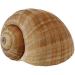 Sabarot - Burgundy snails 12 dozen 465 g - Buy Online on GoSupps.com