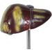Human Liver Pathological Model with Base On Support Tool Study On Medical Model Internal - Buy Online on GoSupps.com
