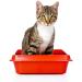 Cat Urinary Relief - Natural Formula for Bladder & Urinary Tract Health - 2 Bottles (180 Treats) - Support Cat Wellness Globally - Buy Online on GoSupps.com