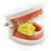 Casiler 3Pcs Occlusal Pad Teeth Prop | Rubber Opener Retractor Tools for Kids' Dental Care - Buy Online on GoSupps.com
