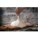 Organic Hard Red Winter Wheat Berries from Rocky Mountains - Cache Harvest Co. Premium (10 oz) - Buy Online on GoSupps.com
