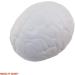 Stress Relief Squeezable Foam Brain & Heart - Buy Online on GoSupps.com