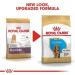 Royal Canin Cocker Puppy Food 3kg - Buy Online on GoSupps.com