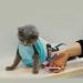 Cinf Cat Retention Bag | Safe Cat Transport & Care Bag for Veterinary Visits Medicine Administering Dental Care Bathing Nail Cutting | Mask Included - Blue - Buy Online on GoSupps.com