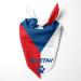 Dog hollow motif: football games sports Olympic games holidays personalized triangular cloth for pets is attached to the collar (flag: Czech Republic) Tcheschache Republic