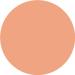 WYCON cosmetics Radiant Stick Concealer Veganfriendly in romige stick 14 Salted Caramel - Buy Online on GoSupps.com