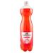 SAN BENEDETTO GINGER PET LT. 1.5 X 6