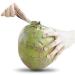 Stord Coconut Opener - Open Fresh, Young White Coconuts in Seconds - Buy Online on GoSupps.com