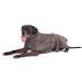 Buy Lills Dog Bidele - 100% Organic Cotton Stone Gray 3XL (75 cm Back Length) | Premium Eco-Friendly Pet Apparel - Buy Online on GoSupps.com