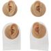 WEHOMY Silicone Left Ear Model for Teaching Instruction - Realistic 3D Display Tool Skin Color - Buy Online on GoSupps.com
