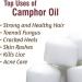 Salvia Camphor Oil (Cinnamonutn camphora) 100% Natural Pure Undiluted Uncut Carrier Oil 50ml with Dropper Camphor 50 ml (Pack of 1) - Buy Online on GoSupps.com