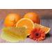Fragrant Moments Sauna Infusion Concentrate - Orange-Honey 500ml | Child-Safe Dropper Bottle for International Shipping - Buy Online on GoSupps.com
