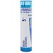 Boiron Blatta orientalis 5C for Respiratory Allergies - 80 Pellets