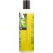 ShiKai Shower Gel - Cucumber Melon 12 oz | Refreshing & Hydrating Body Wash | Shop Internationally - Buy Online on GoSupps.com