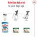 Royal Canin Mini Adult | 12 x 195 g | Wet Food for Small Breed Adult Dogs (1 to 10 kg) | From 10 Months to 12 Years | Adapted energy content - Buy Online on GoSupps.com