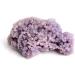 1PC Rough Natural Grape Agate Mineral Specimen Stone Crystal Cluster Quartz Crystals Gemstones Grape Agate 50 150g outstanding78 Grape Agate 50 150g - Buy Online on GoSupps.com