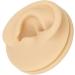 Human Right Ear Model Human Ear Model Clear Internal External Structure Soft Silicone Waterproof for Ear Learning for Suppliers - Buy Online on GoSupps.com