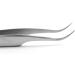 Ketama Silver Splinter Tweezers | Rust-Free Stainless Steel | 12cm Curved Tip | Ideal for First Aid & Splinter Removal | Sterilizable & Durable - Buy Online on GoSupps.com
