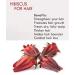Sorrel Cosmetics Hibiscus Hair Mask & Deep Conditioner - Organic Nourishing Treatment for Dry, Damaged, Chemically Treated Hair - 16 OZ - Buy Online on GoSupps.com