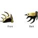 Hat Clip Brim Clip for Outdoorsman - Deer, Turkey, & Shed Antler Hunter - Buy Online on GoSupps.com