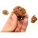 1pc Natural Crystal Quartz Rock Raw Rock Aragonite Specimen Stone - Buy Online on GoSupps.com