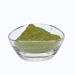 Organic Indigo Powder 8 oz | Black Henna Hair Dye | Indigofera Tinctoria | Ideal for Dark Hair | Includes FREE Gloves & Head Cap - Buy Online on GoSupps.com