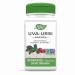Nature's Way Uva Ursi Leaves Health Supplement 100 Count