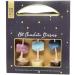 Cocoa Tree Hot Chocolate Stirrer - Savor the Sweetness - Buy Online on GoSupps.com